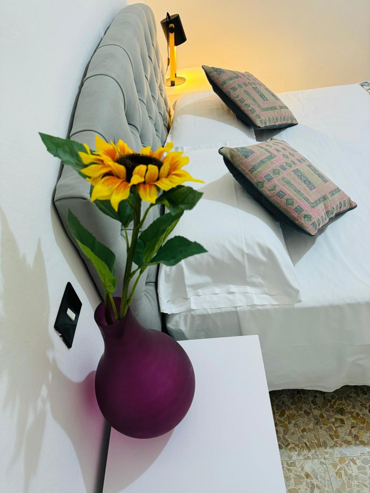Hotel The Galaxy House Pisa Exterior foto